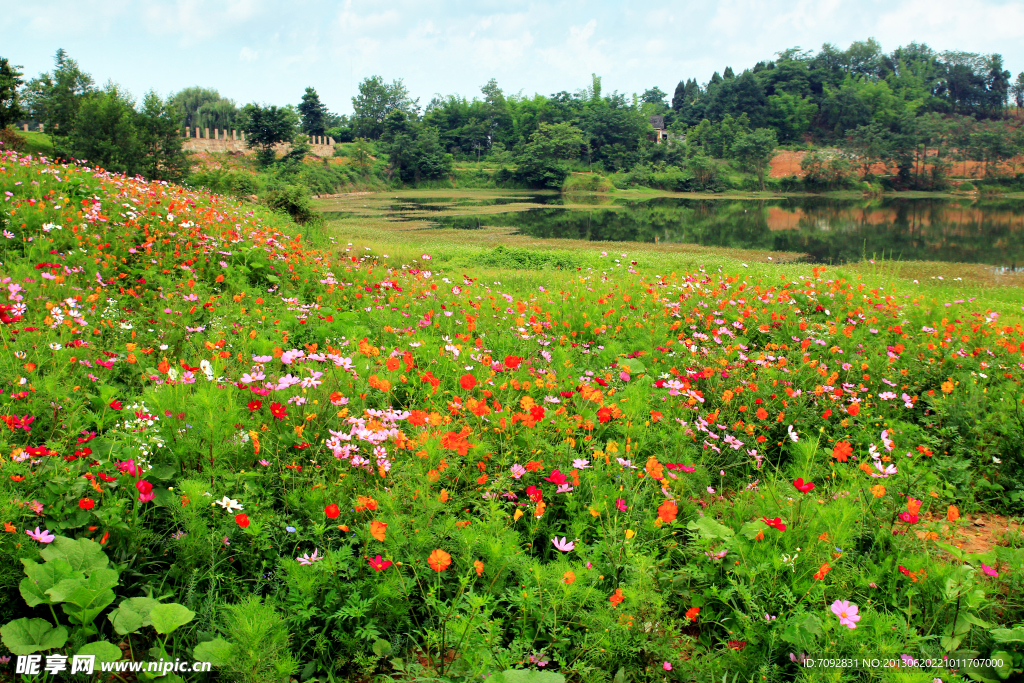 白马湖风景