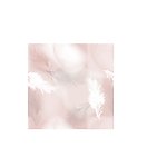 羽毛 矢量