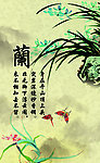 梅兰竹菊之兰