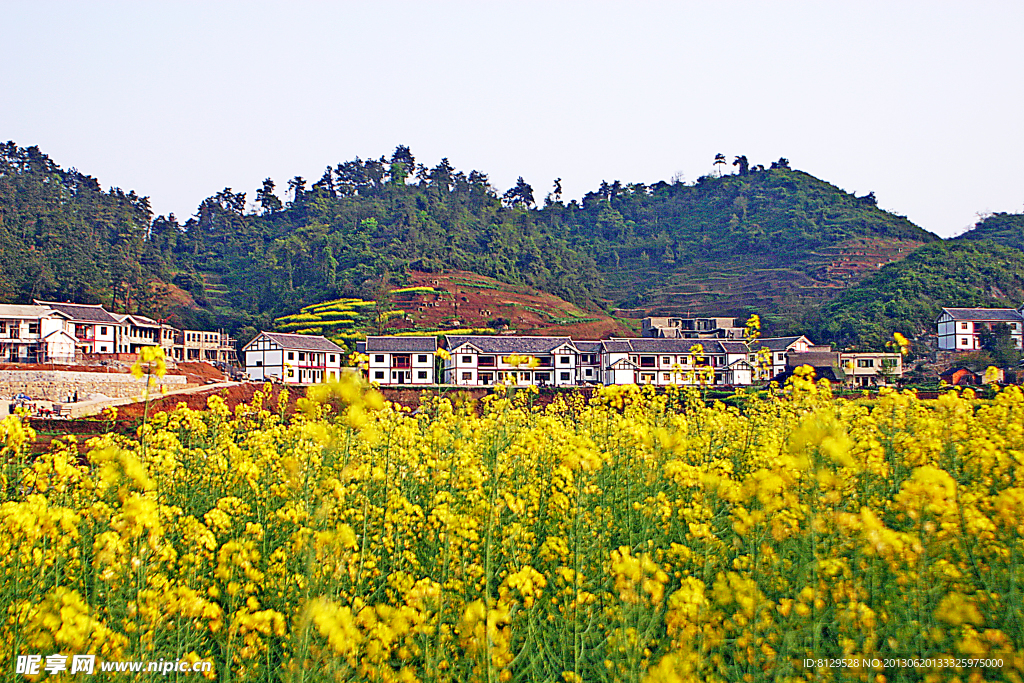 新村美景