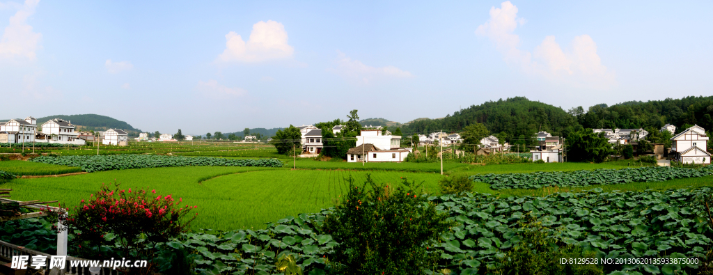 遵义县龙坪新农村