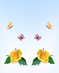 花蝶共舞