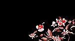 黑色背景花纹