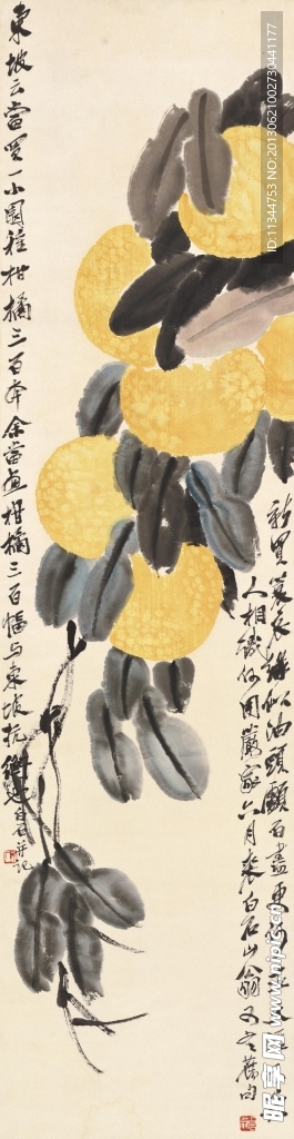 柑橘黄时