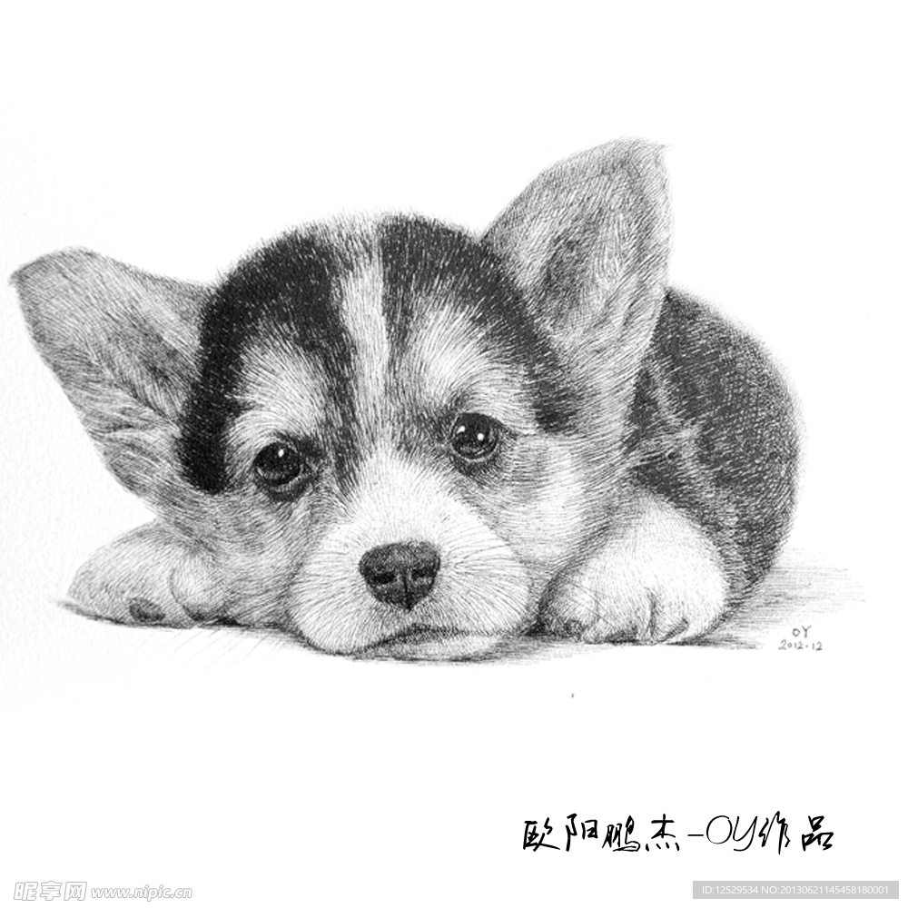 钢笔绘画小狗
