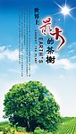 茶树海报