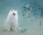 猫 菊花