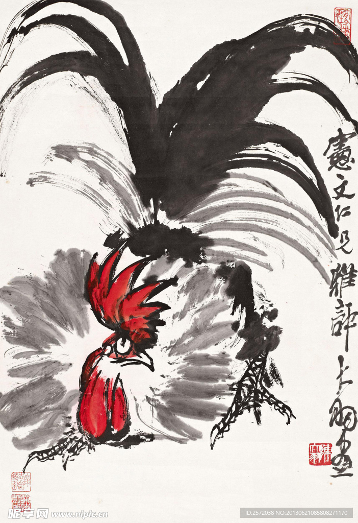 调皮 公鸡