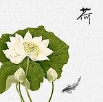荷花移门