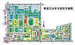 黑龙江大学平面图