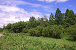 十九公里牧点风景