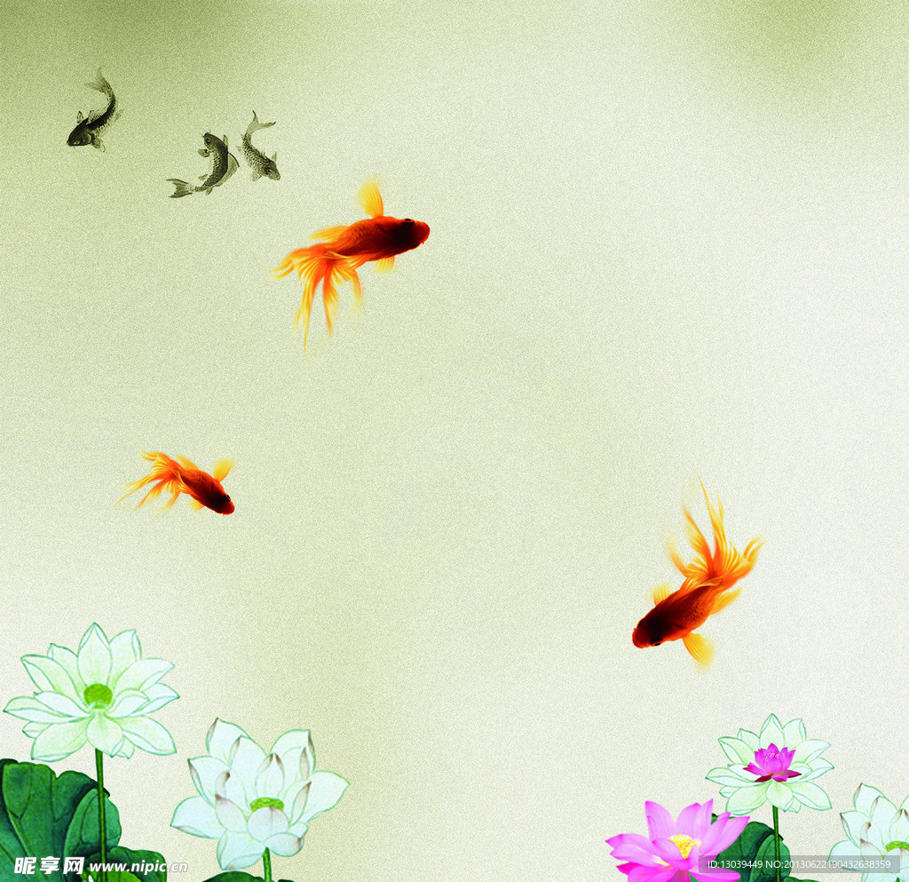 荷花