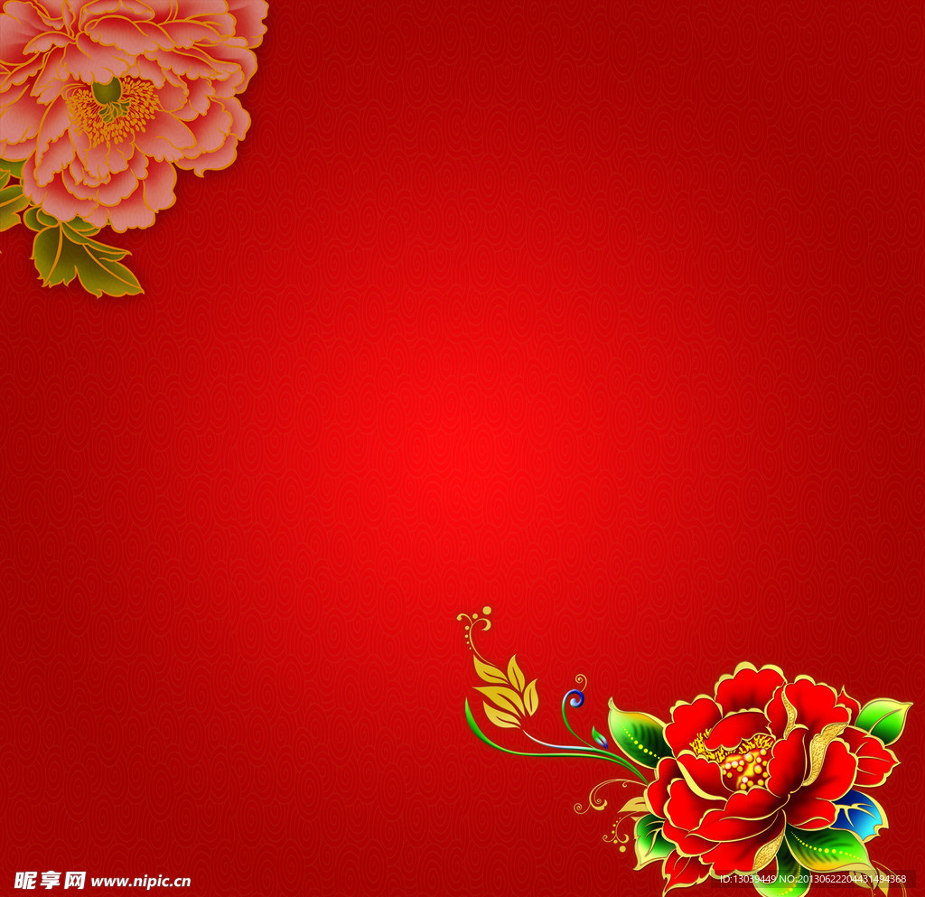 牡丹花