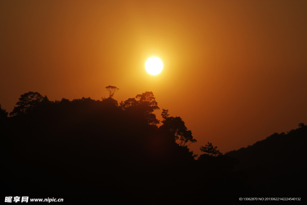 夕阳红