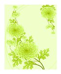 时尚花纹矢量素材