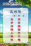 柳永《凤栖梧》