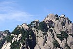 迎客松