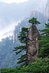 黄山