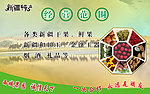 新疆干果