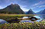 新西兰景观