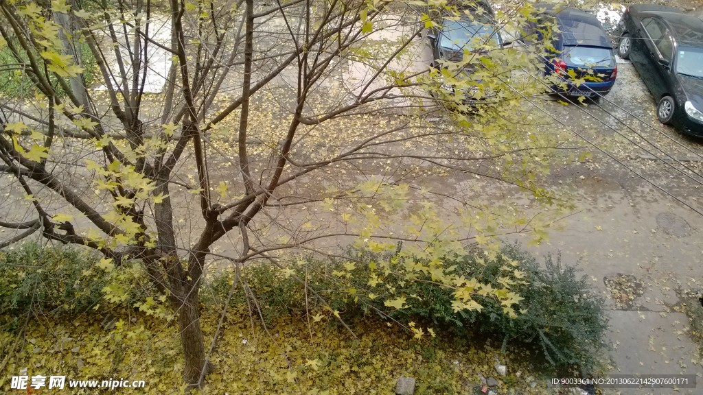 秋天