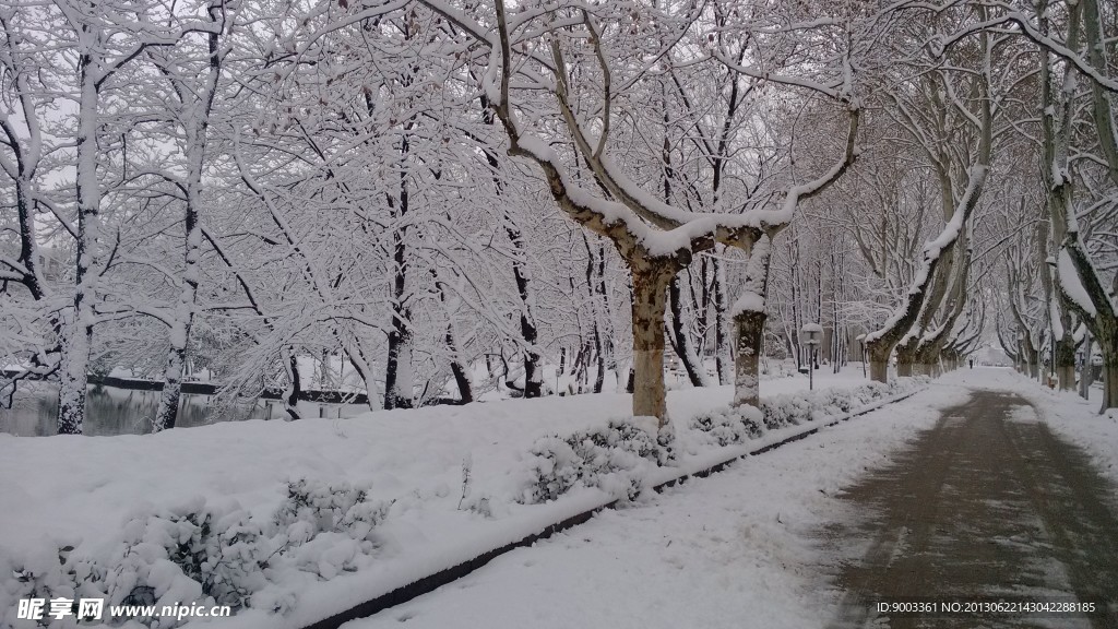 雪景路