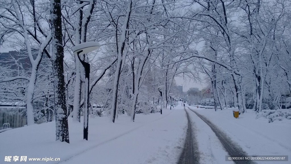 雪景路
