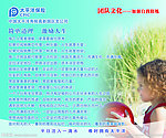 保险展板