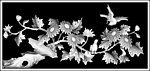 四季 花鸟 菊花