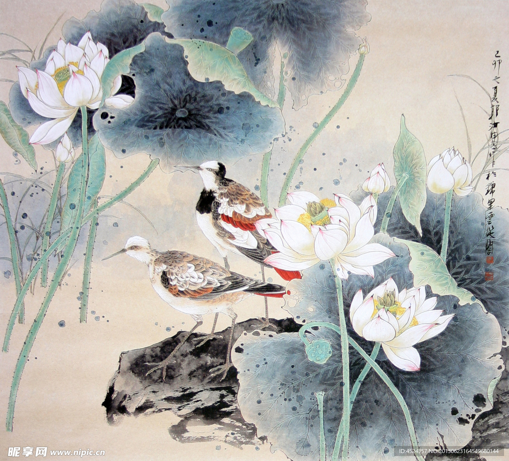 花鸟图