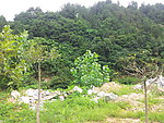 小山