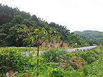 乡间小路