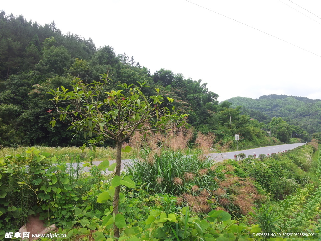 乡间小路