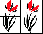 花纹