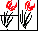 花纹