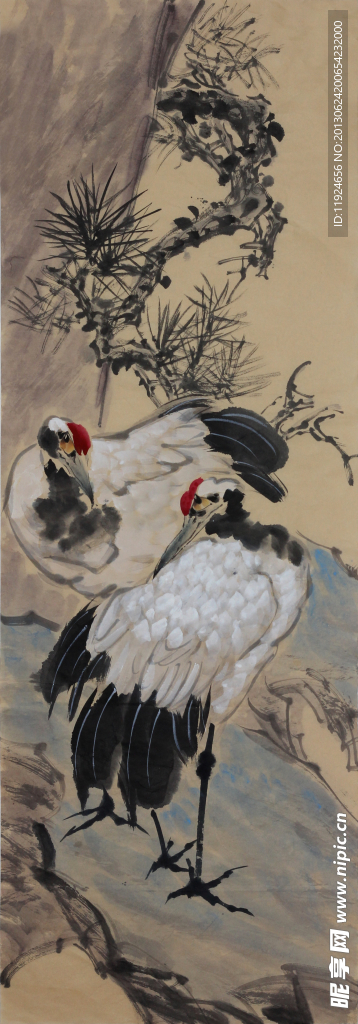 松鹤