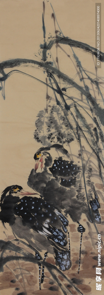 双露