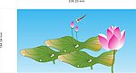 cdr荷花图