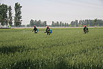 统防统治