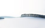 雪地