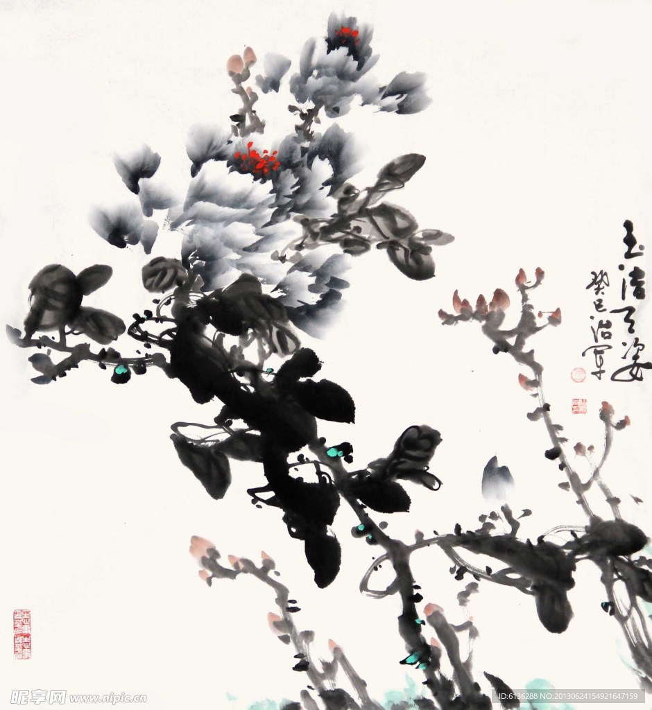 墨牡丹