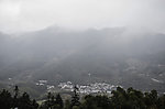 山 近山 森林 竹林