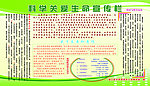 科学关爱生命宣传栏
