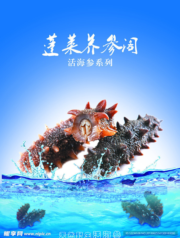 蓬莱阁海参