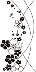 花纹