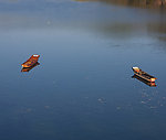 泸沽湖晨曦