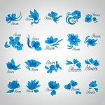 标志logo