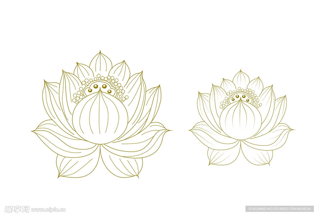 荷花