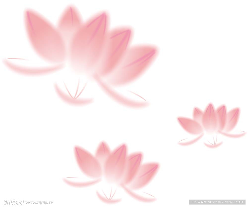 荷花素材