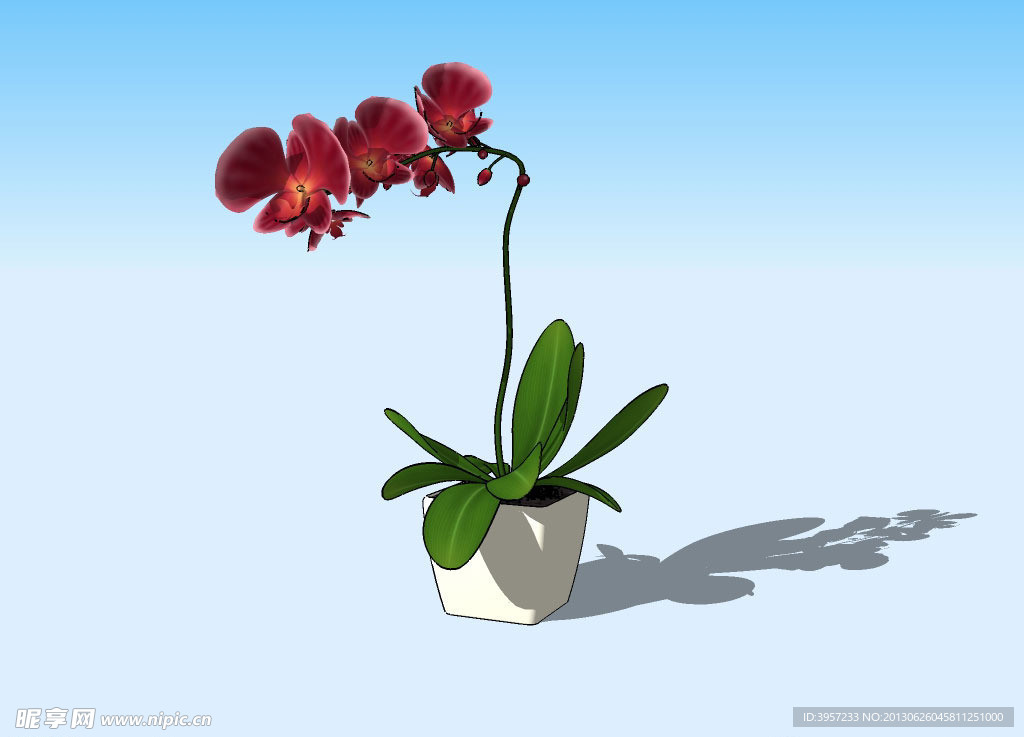 盆景3D模型